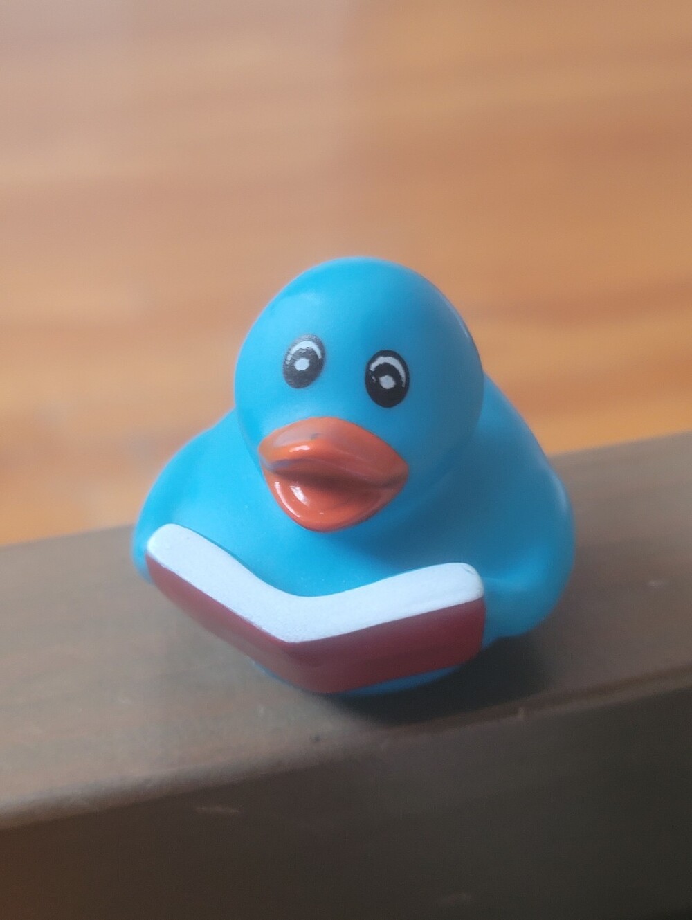 NOVELTY Reading Duck Toy